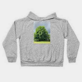 Maple tree with Ominous Background Kids Hoodie